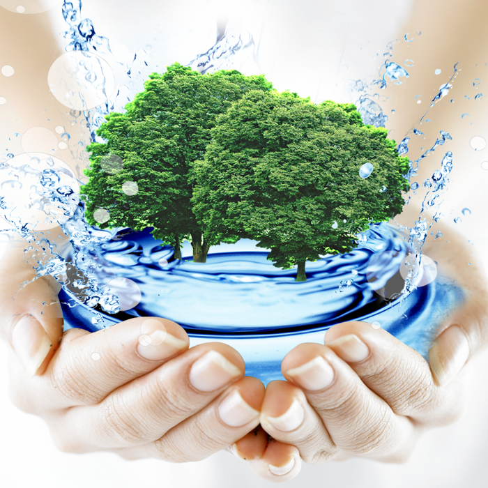 06308e8926443578d696e38ab4ecb13d